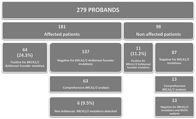 BRCA1 and BRCA2 Mutations Other Than the Founder Alleles Among Ashkenazi Jewish in the Population of Argentina